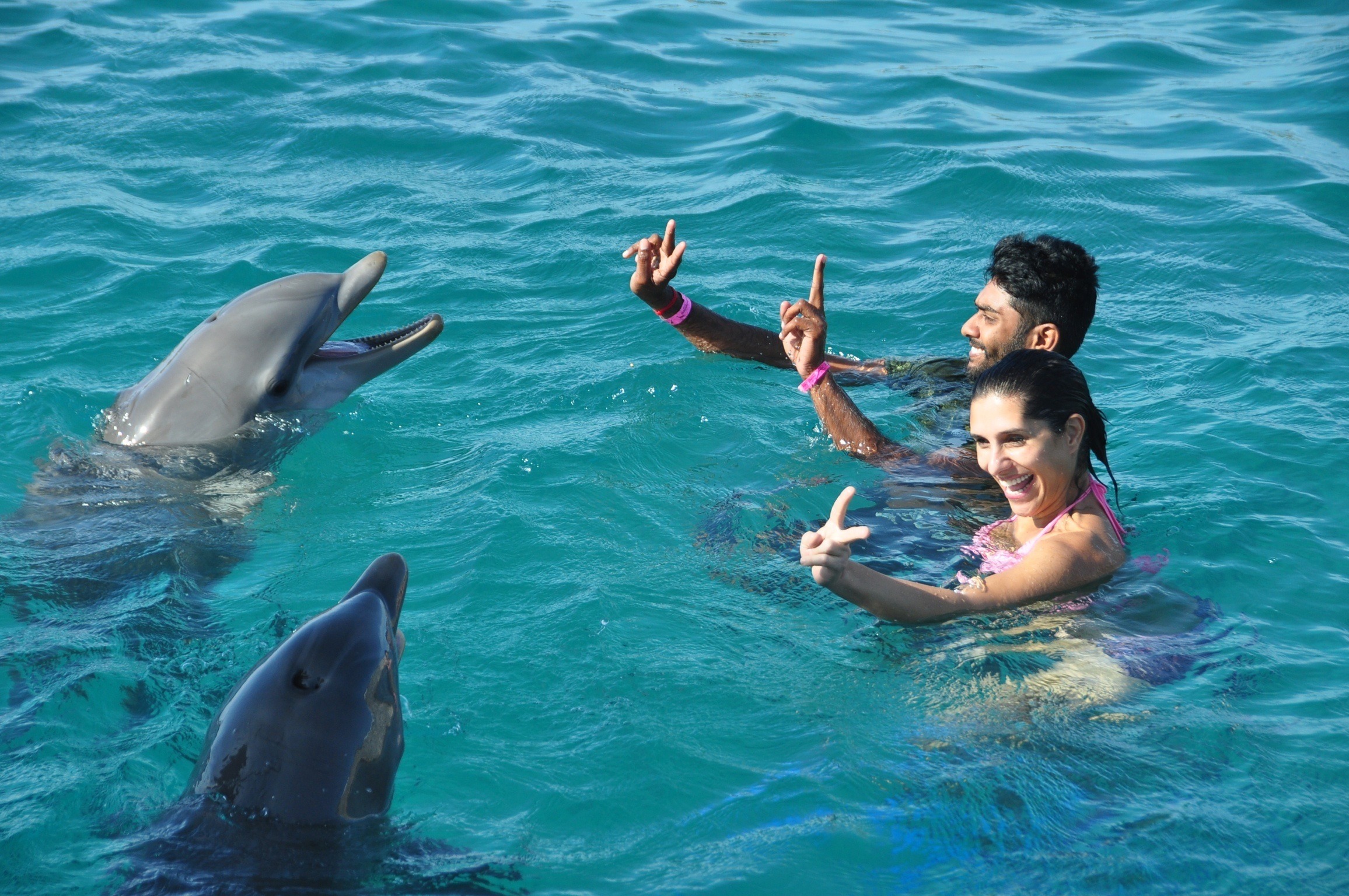 Удовольствие с дельфином. Дельфины и люди. Плавать с дельфинами. Дельфин с человеком в море. Семья дельфинов.